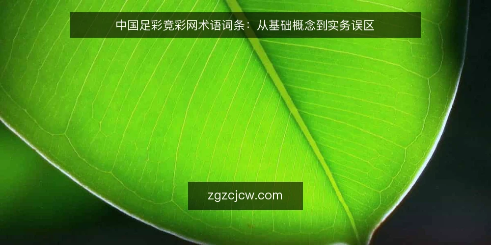 中国足彩竞彩网术语词条：从基础概念到实务误区 — 术语框架：中国足彩竞彩网相关核心词条 配图