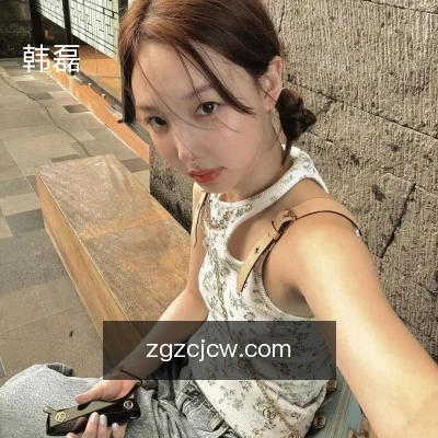 韩磊